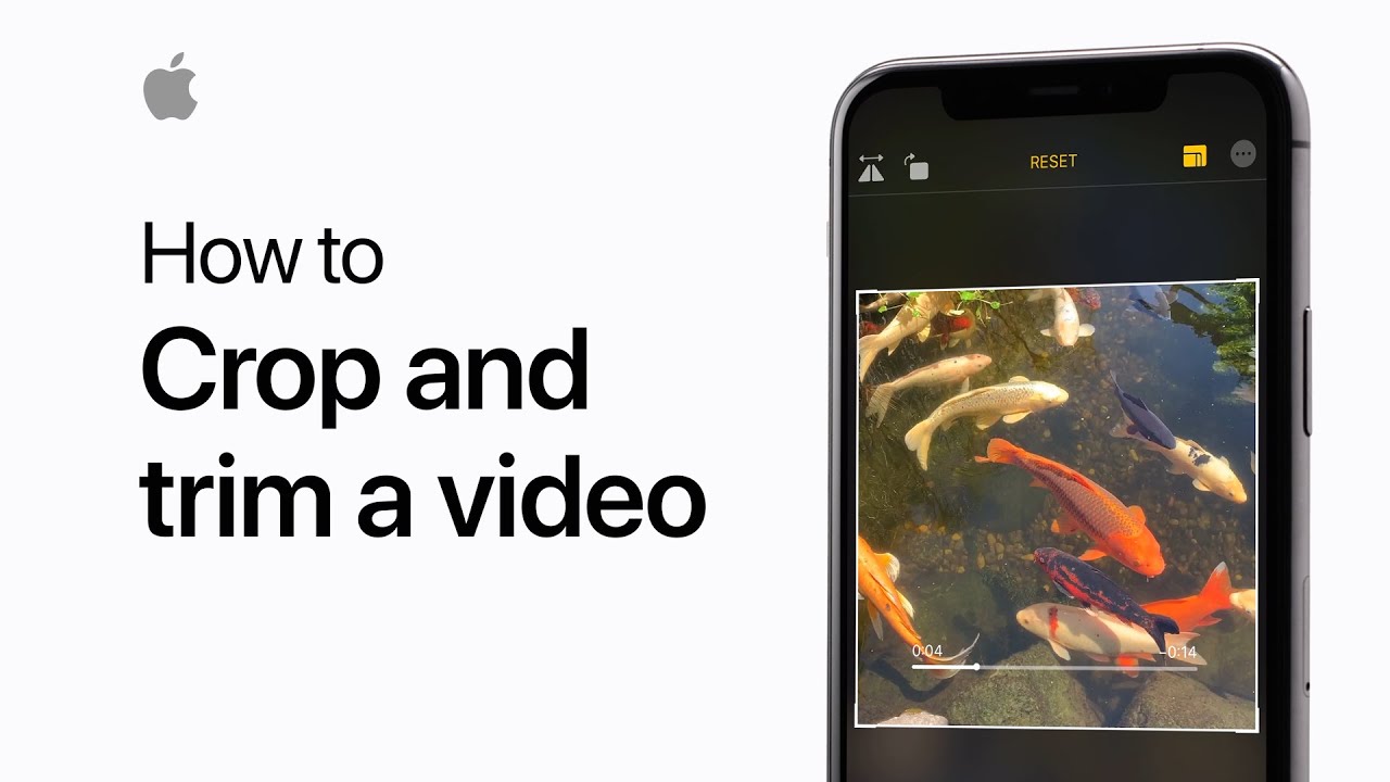 How to crop and trim a video on your iPhone or iPad — Apple Support