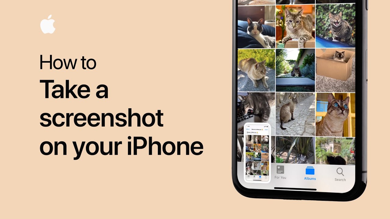 How to take a screenshot on your iPhone or iPad – Apple Support