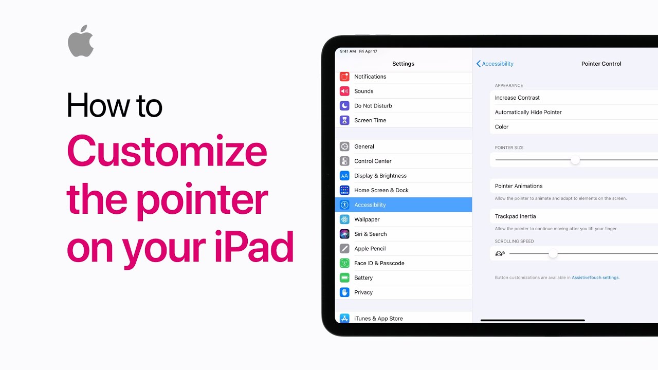 How to customize the pointer on your iPad — Apple Support