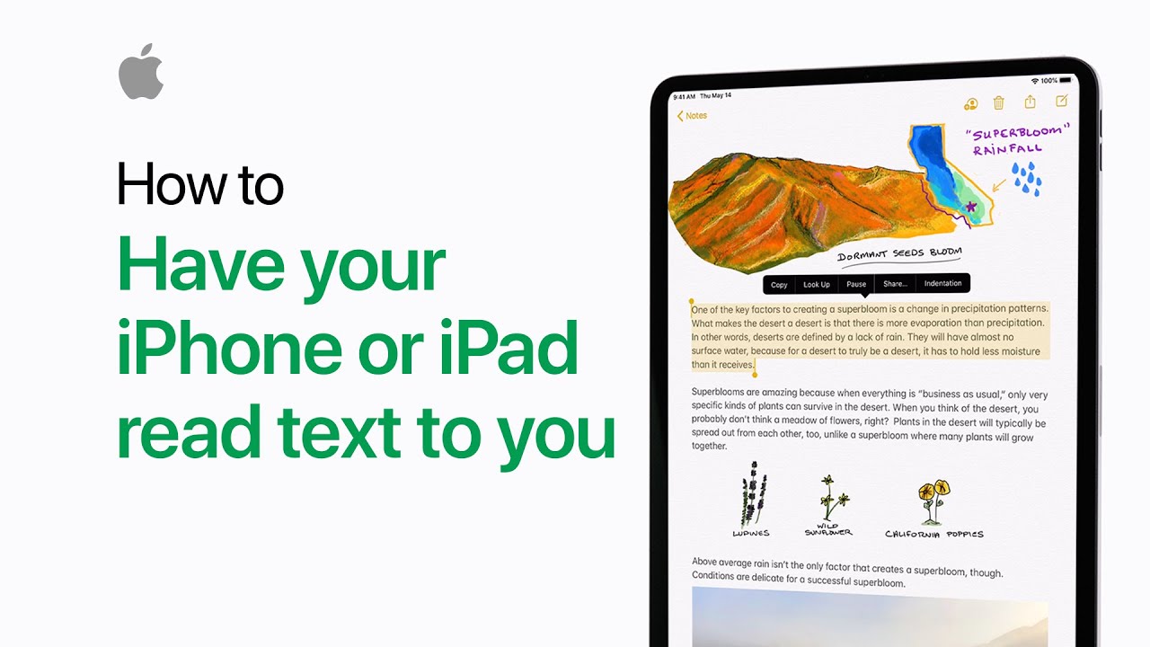 How to have your iPhone or iPad read text to you — Apple Support