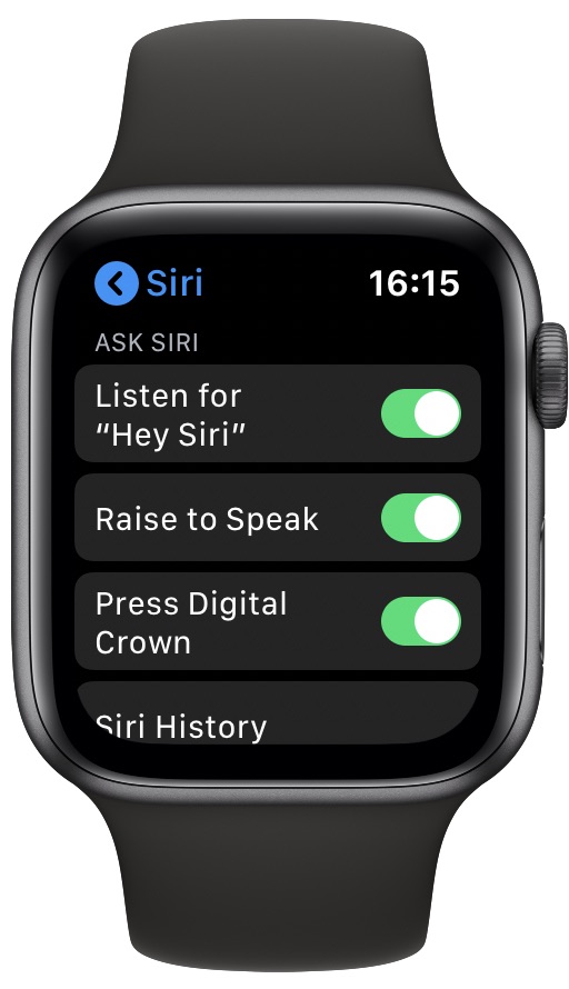 How to Enable and Use Raise to Speak on Apple Watch