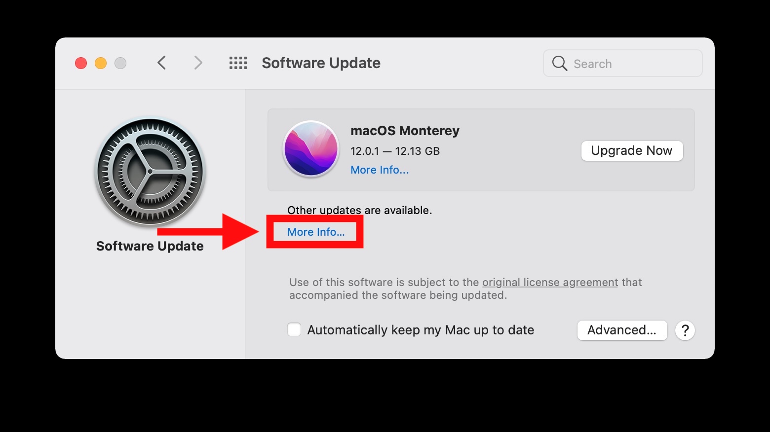 How to Install macOS Updates without Installing MacOS Monterey?