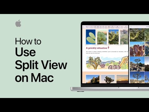How to use Split View on Mac | Apple Support