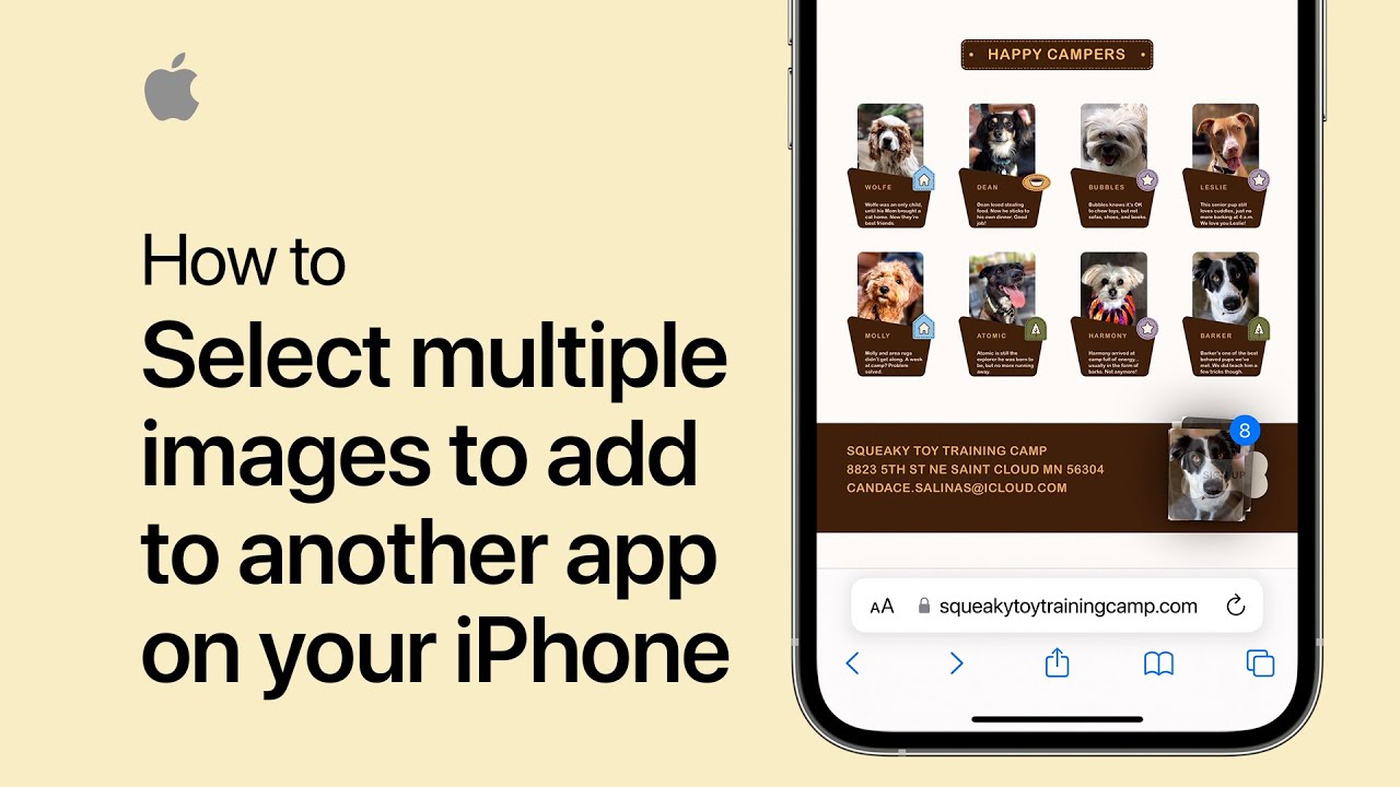 How to select multiple images to add to another app on your iPhone or iPad | Apple Support