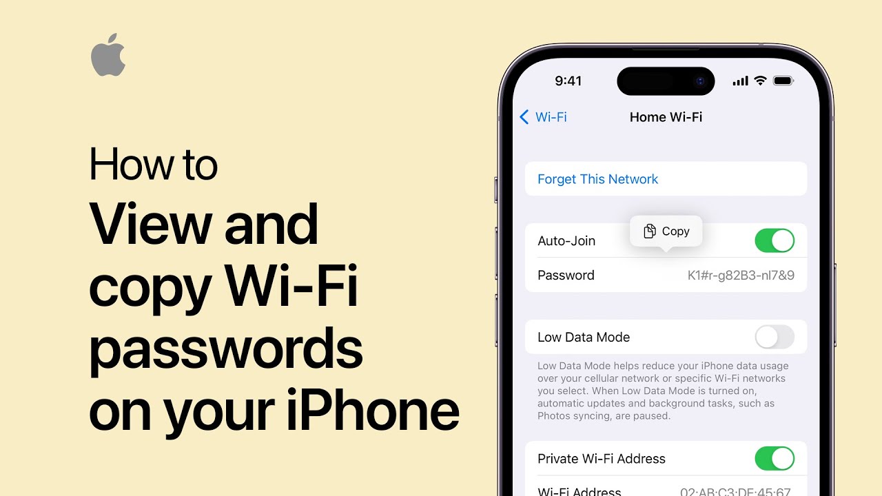 How to view and copy Wi-Fi passwords on your iPhone | Apple Support