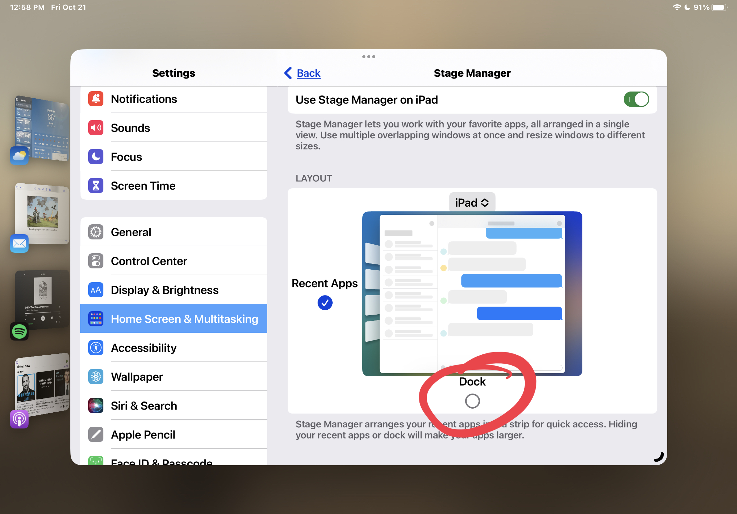 How to Hide the Dock in Stage Manager on iPad
