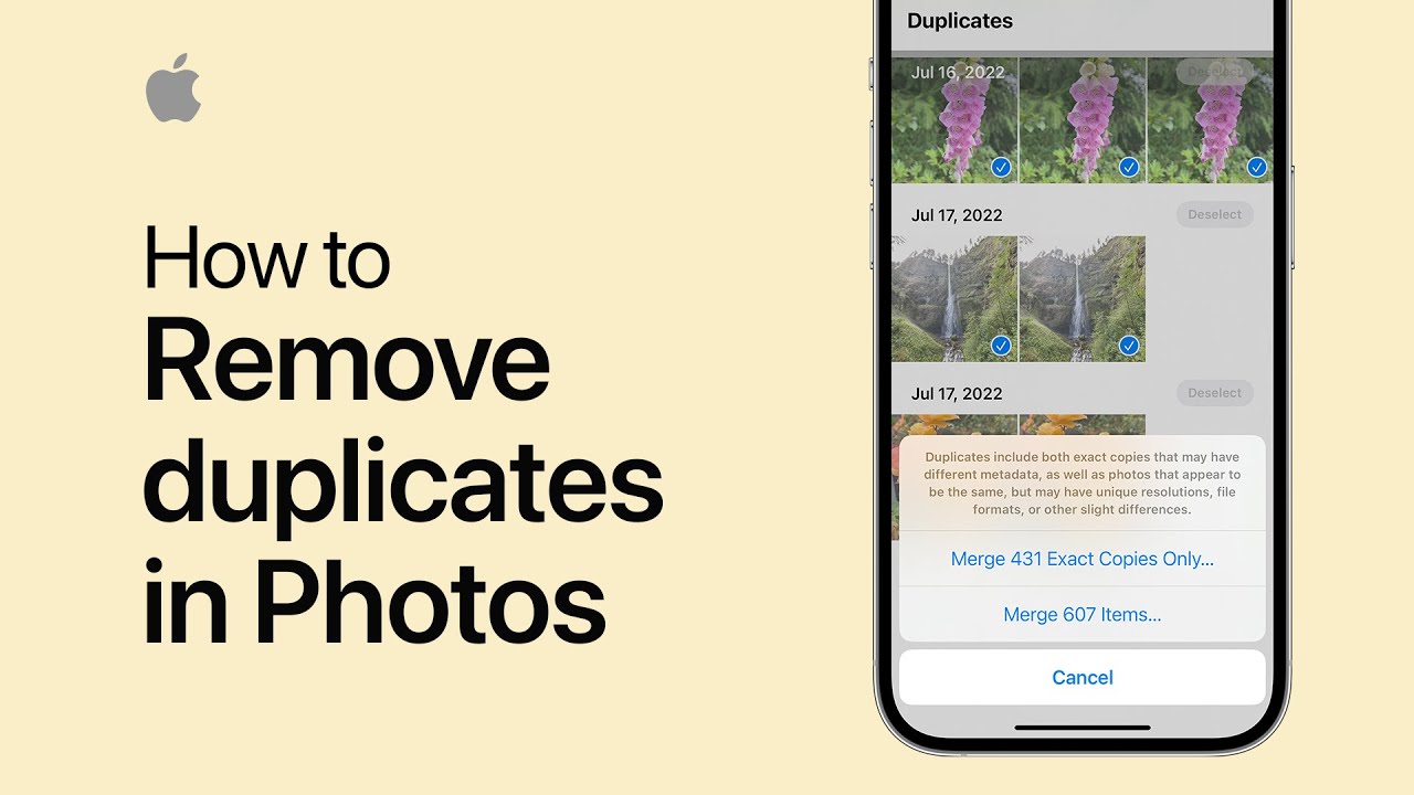 How to remove duplicates in Photos on iPhone | Apple Support