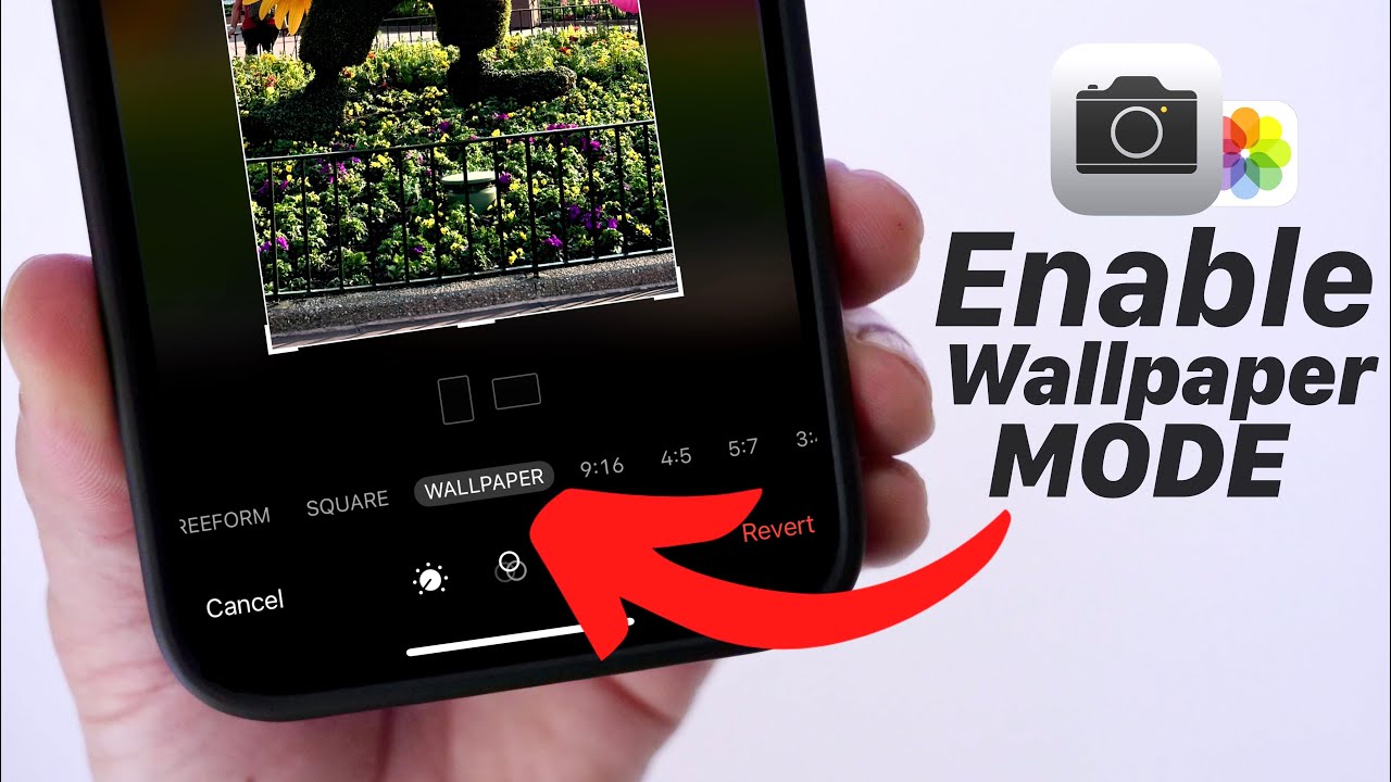 How to Enable Wallpaper Mode on iPhone 📸