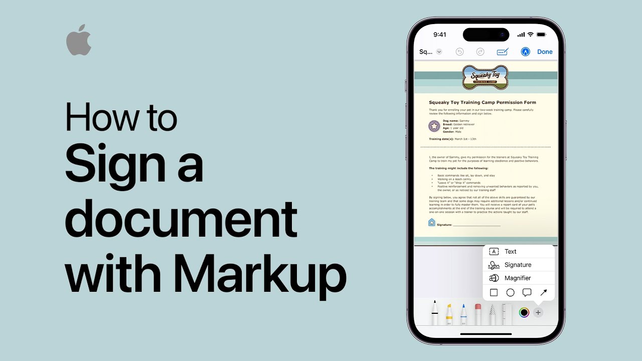 How to sign a document with Markup on your iPhone | Apple Support