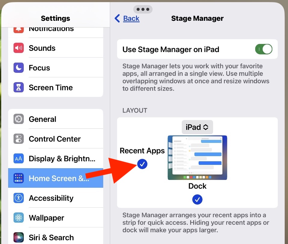 How to Hide Recent Apps in Stage Manager on iPad