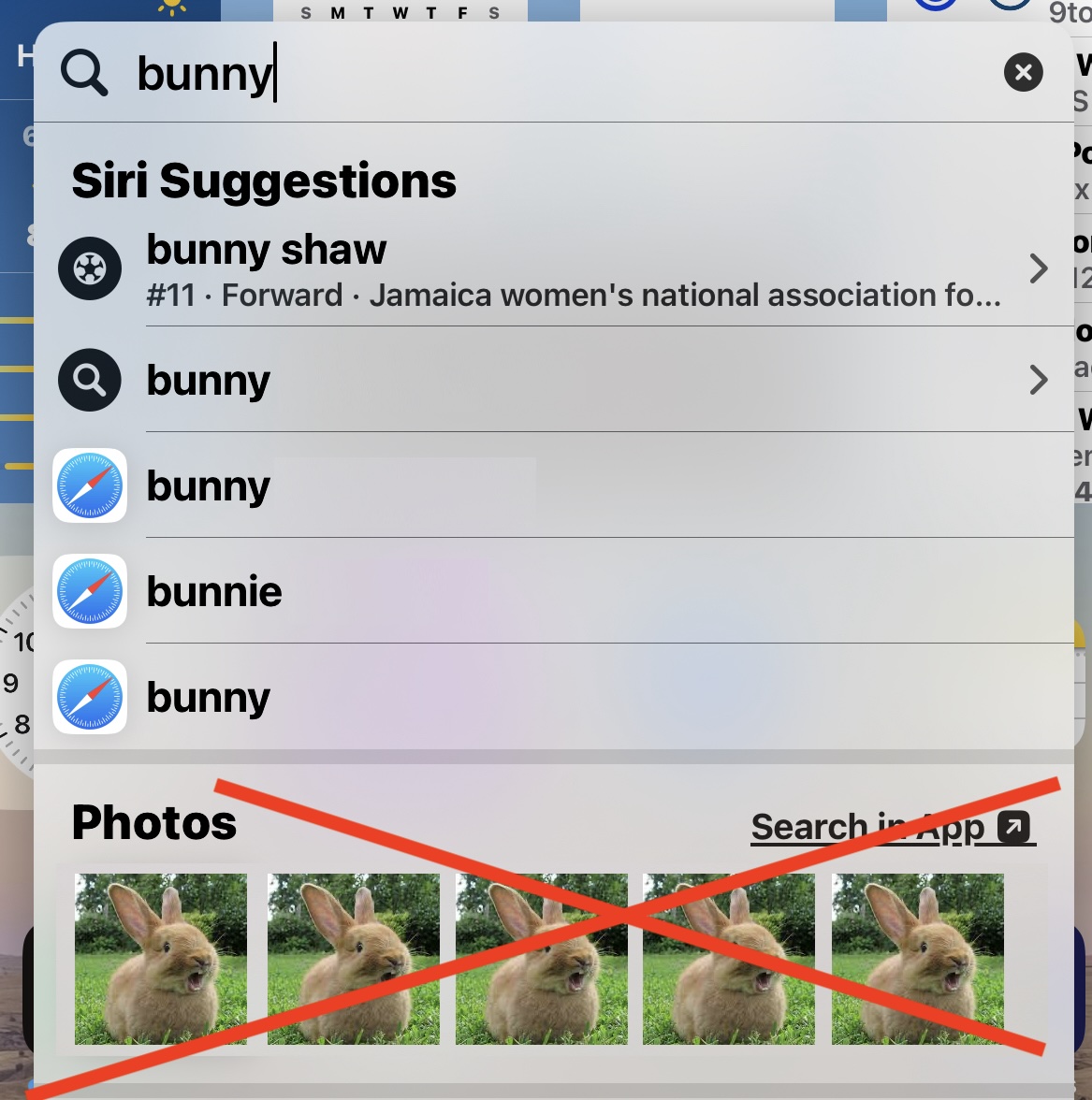 How to Stop Photos from Showing in Spotlight Search on iPhone & iPad