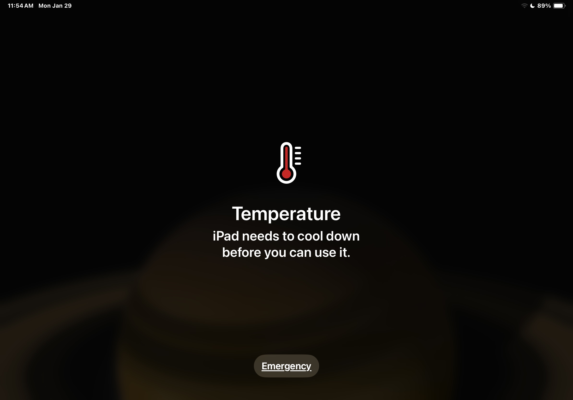 iPad needs to cool down before you can use it